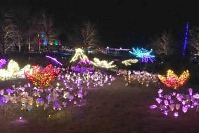 Dominion Gardenfest of Lights